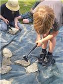 Veranstaltungsbild Fossiliensuche am Eisenzeithaus